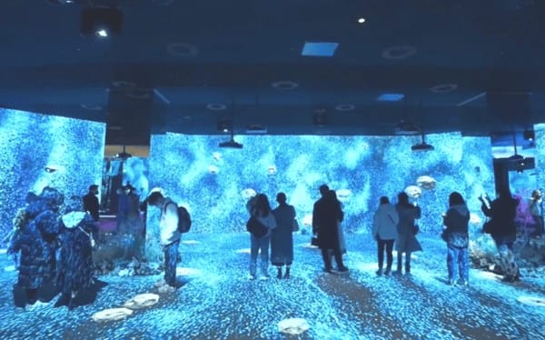 沉浸式數(shù)字影院：帶你進(jìn)入逼真的虛擬世界